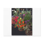 Miniature Gardens Post Card