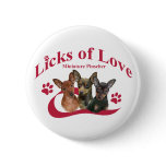 Miniature Pincher Licks Of Love Gifts buttons