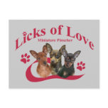 Miniature Pincher Licks Of Love Gifts postcards
