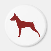 Miniature Pinscher Fridge Magnet