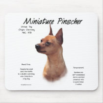 Miniature Pinscher (red) History Design