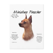 Miniature Pinscher (red) History Design