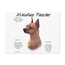 Miniature Pinscher (red) History Design