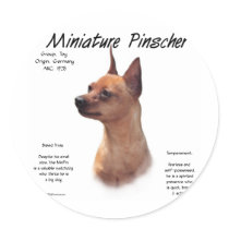 Miniature Pinscher (red) History Design