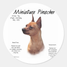 Miniature Pinscher (red) History Design Sticker