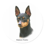Miniature Pinscher stickers