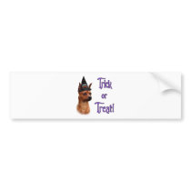 Miniature Pinscher Trick