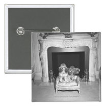 Miniature poodles sitting in front of fireplace buttons