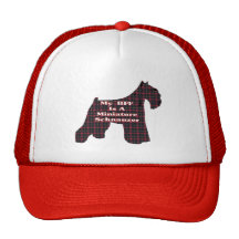 Miniature Schnauzer BFF Gifts Mesh Hat