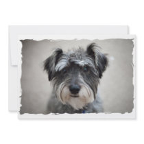 Miniature Schnauzer Dog Invitation