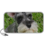 Miniature Schnauzer Dog Speakers