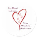 Miniature Schnauzer Heart Belongs stickers