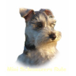Miniature Schnauzer Kids T-Shirt