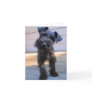 Miniature Schnauzer Note Card #1 - blank