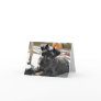 Miniature Schnauzer Note Card #4 - blank