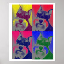 Miniature Schnauzer Posters