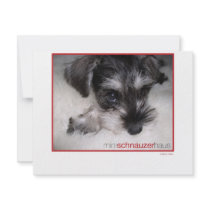 Miniature Schnauzer Pup Invitations
