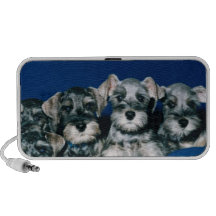 Miniature Schnauzer Puppies Mini Speaker