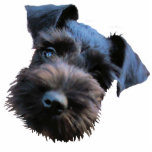Miniature Schnauzer Sculpture Keychain photo sculptures