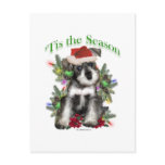 Miniature Schnauzer ‘Tis postcards