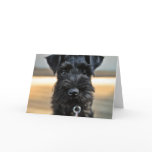 Miniature Schnauzer Valentine's Day Greeting Card