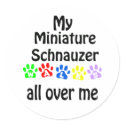 Miniature Schnauzer Walks Design stickers