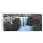 Miniature Waterfall Rack Card Template