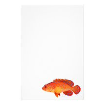 Miniatus Coral Grouper Fish Stationery
