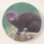 Mink Coaster
