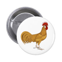 Minorca:  Buff Rooster Button