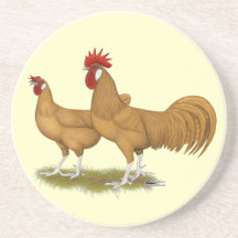 Minorcas Buff Pair Drink Coaster
