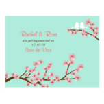 Mint & Pink Cherry Blossom Wedding Save the Date Post Cards