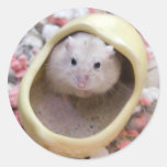 Mint Tea (sticker)