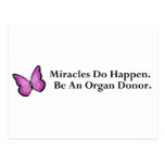 Miracle Butterfly Post Cards