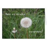 Miracles Everywhere - Blank Card
