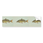 Mirror carp bumper stickers