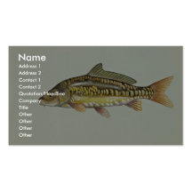 Mirror carp business card template