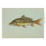 Mirror carp greeting card