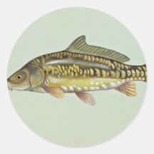 Mirror carp round stickers