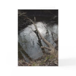 Mirror Creek greeting card