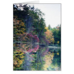 "Mirror Image" cards