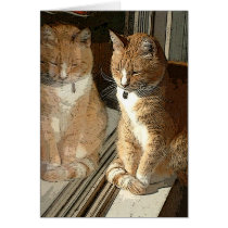 Mirror Kitty card