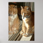 Mirror Kitty posters