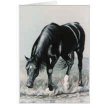 Mirror, Mirror Greeting Cards