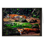 Mirrored Dreams Card