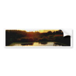 Mirrored lake bumper stickers