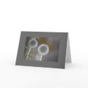 Mirrored Thistles Card
