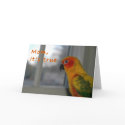 Mischief cards