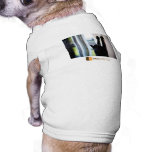 Mischief pet clothing