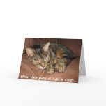 Miso Sleep cards